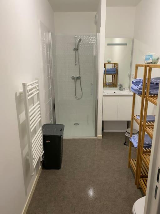 Appartement Aux Portes De Vannes Séné المظهر الخارجي الصورة